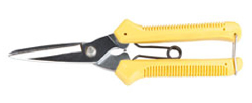 货号:KC-0081 专业级果枝剪 规格:8